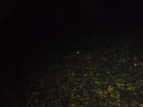 DSCF4796