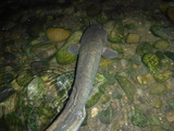 DSCF4777