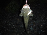 DSCF4639