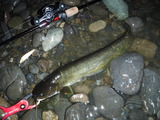 DSCF4630