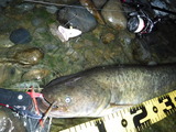 DSCF4665