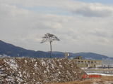 陸前高田