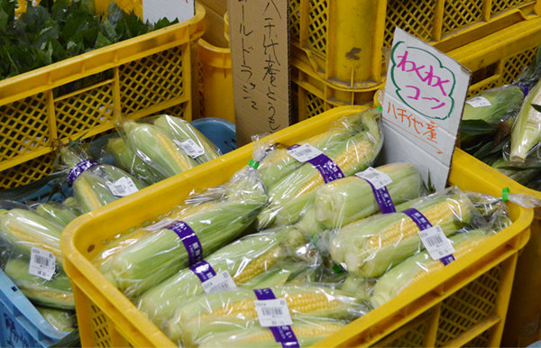 300727-toumorokoshi2