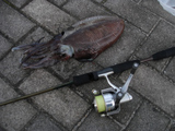 DSC09530