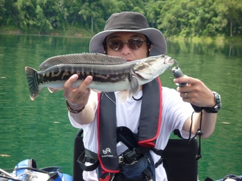 09thai4