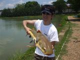 thai-2