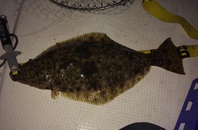 fc2blog_201712032123447e2s