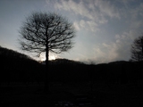 09shirakawa05