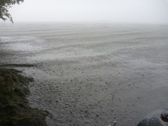 P1070590