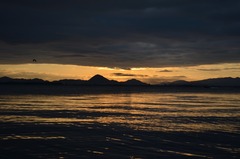 DSC_4511_R