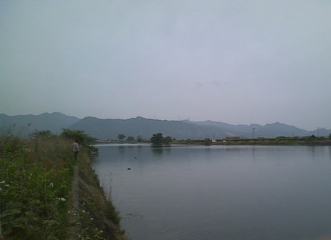 CA3B0442-2
