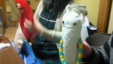 3a4d935d.jpg