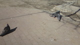846b8798.jpg