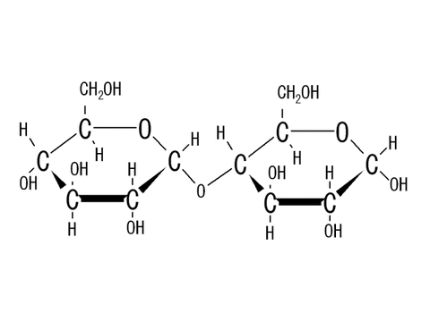 マルトース