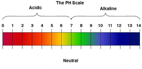 pH