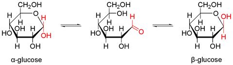 Glucose_equilibrium