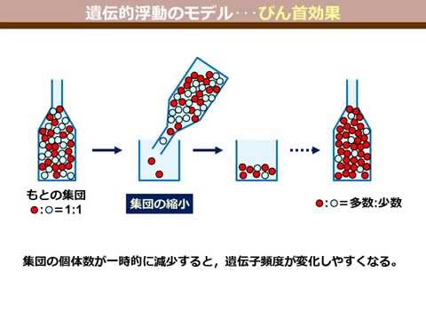 びん首