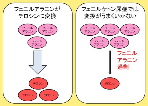 フェニルケトン