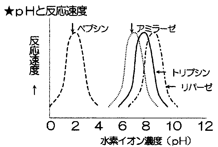 最適ph