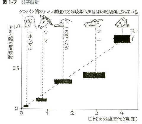 中立進化