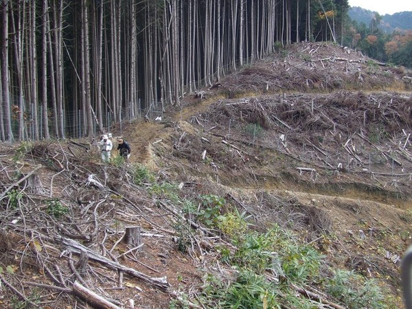 二次遷移