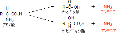 datuamino