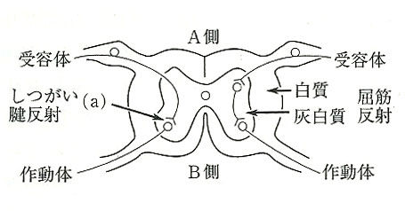 反射