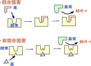 非競争的阻害