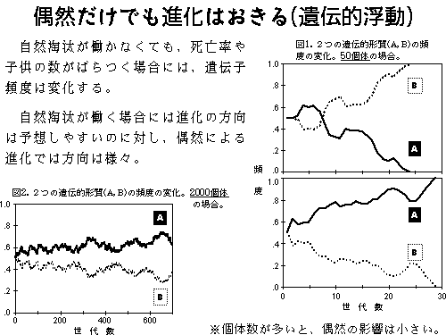 遺伝的浮動