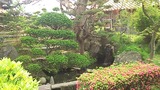 23854c21.jpg