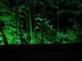 NEC_0217