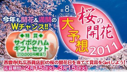 第8回桜の開花予想
