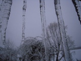 2009冬景色 005