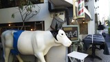 牛の床屋さん