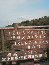 20070613izuhuji