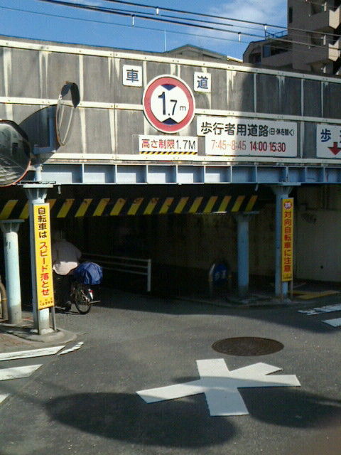 oomorikouka
