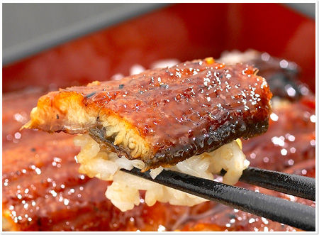 unagi_img_02