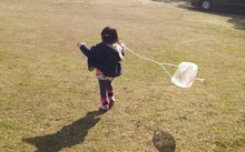 IMG_20170117_180701_xlarge