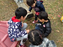 image_xlarge(3)
