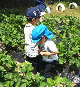 IMG_20180524_122352