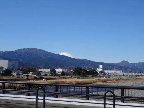 140119 酒匂川橋DSC03698