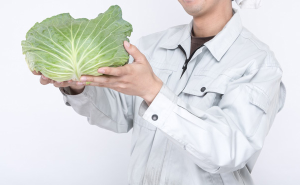 自給自足の生活してたら労働も納税もしなくていいの?