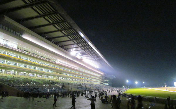 競馬を始めて失ったもの