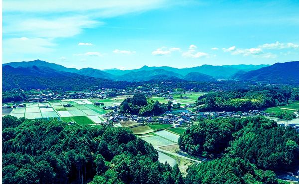 田舎暮らしの方が金かかるんじゃね?