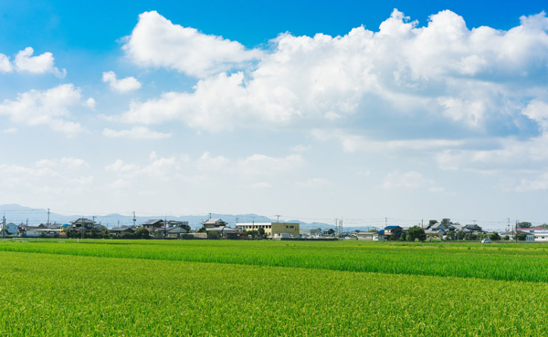 何もかも捨てて田舎で暮らした結果wwwwwww