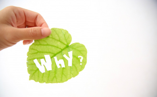 なぜ法人税ではなく消費税を上げるのか?