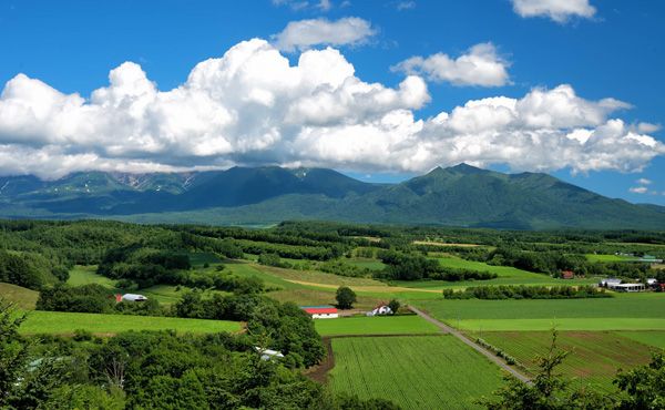 お金さえ有れば辺境の田舎に移住したいJボーイ