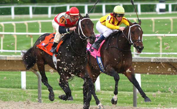 借金あるのって俺だけ?競馬とFXで借金300万円ある。 2