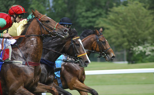 この方法やれば競馬って確実に儲けられる気がするwww