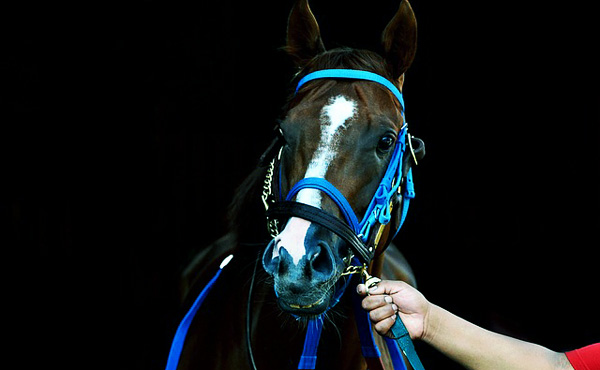 競馬で億稼ぎたい、というかそれぐらいしか人生逆転大勝利思いつかない2